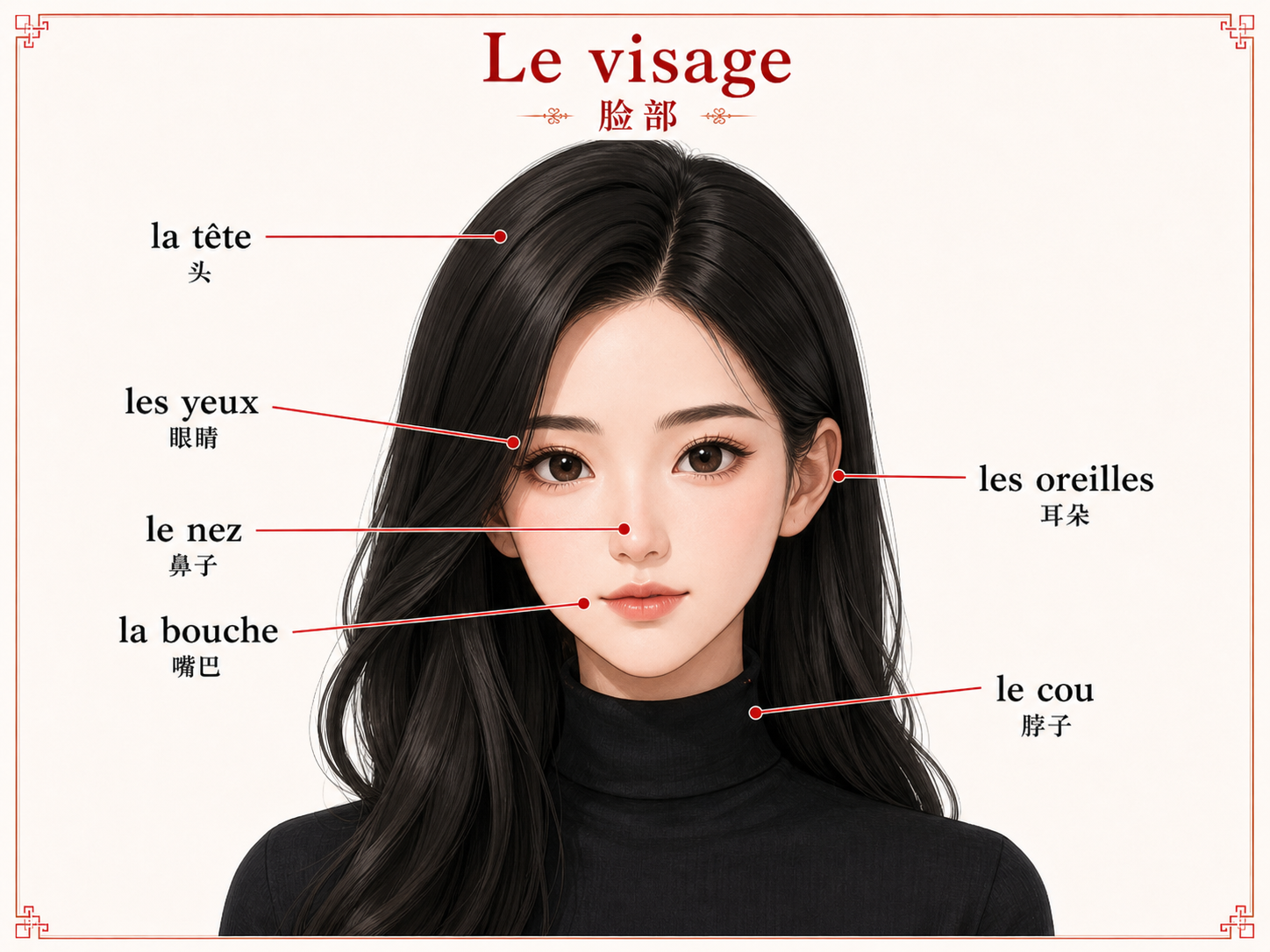 Les parties du visage annotées en français
